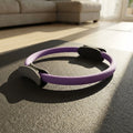 Pilates Ring
